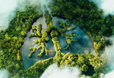 全球电站累计减排量